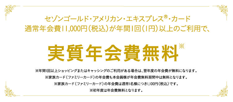 通常年会費11,000円(税込)が年間1回以上のカードご利用で、実質無料