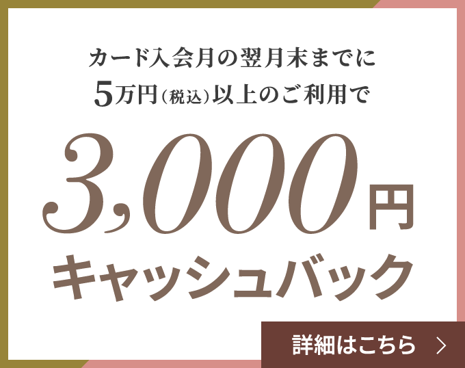 カード発行月の翌月末までに5万円（税込）以上のご利用で3,000円キャッシュバック 詳細はこちら