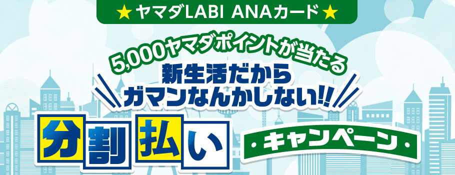 ヤマダlabi Anaカード 分割払いご利用で5 000ヤマダポイントが当たる