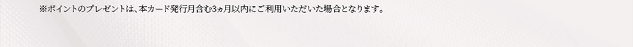 ※ポイントのプレゼントは、本カード発行月含む3ヵ月以内にご利用いただいた場合となります。