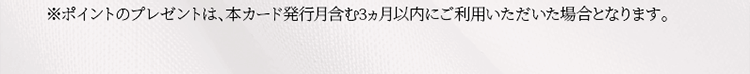 ※ポイントのプレゼントは、本カード発行月含む3ヵ月以内にご利用いただいた場合となります。