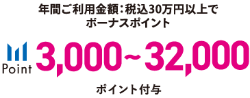 年間ご利用金額：税込30間年以上でボーナスポイント3,000～30,000ポイント付与