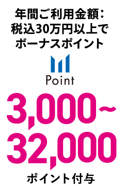 年間ご利用金額：税込30間年以上でボーナスポイント3,000～30,000ポイント付与