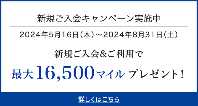 ANAマイル 2000マイル 最短2日 加算 希望口座に加算 マイレージ マイル数指定可 全日空(その他)｜売買されたオークション情報、yahooの商品情報をアーカイブ公開  - オークファン（aucfan.com） sd-supc.ulim.md | sd-supc.ulim.md