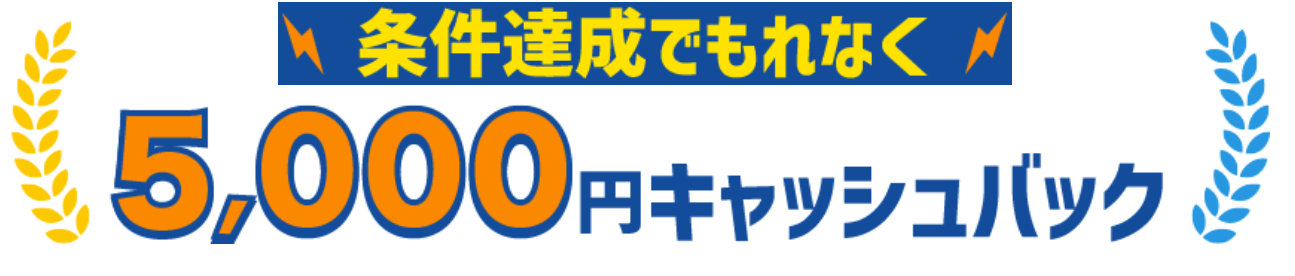 条件達成でもれなく5000円キャッシュバック