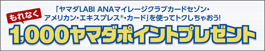 公式 ヤマダlabi Anaマイレージクラブカード セゾン アメリカン エキスプレス カード クレジットカードはセゾンカード