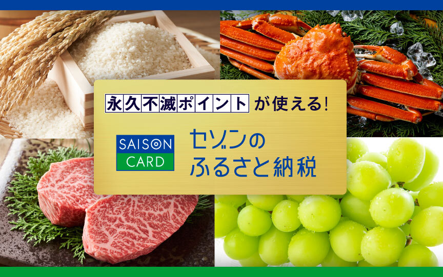 永久不滅ポイント200ポイントをご請求金額から900円分充当